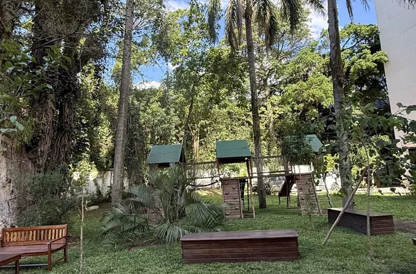 Voo de passaro
