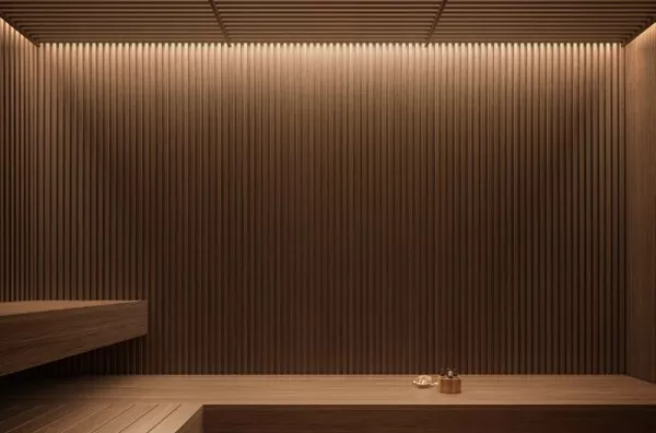 Sauna seca