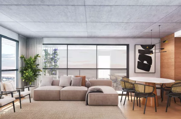 Palmeira 178