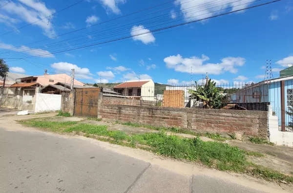 JCPAPL 123 Lote 612541001-237