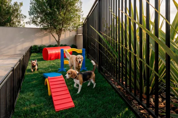 Pet Place