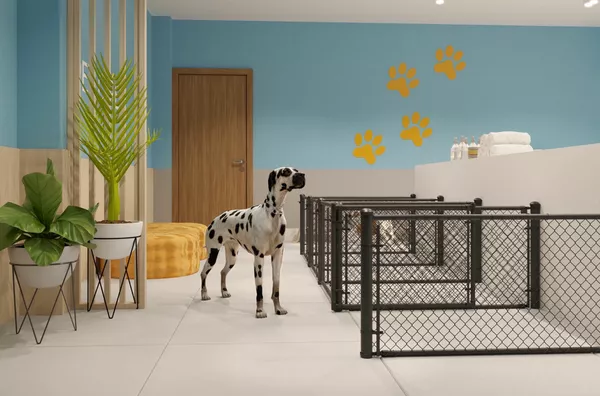 Pet Care