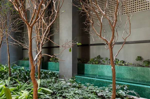 Jardim interno