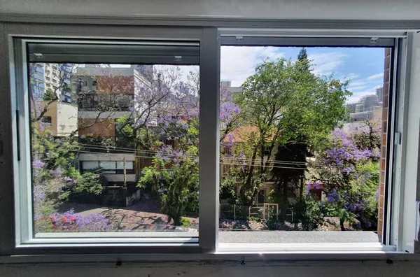Vista