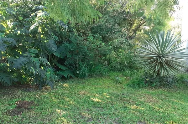 IEJP 130 Lote TE0019