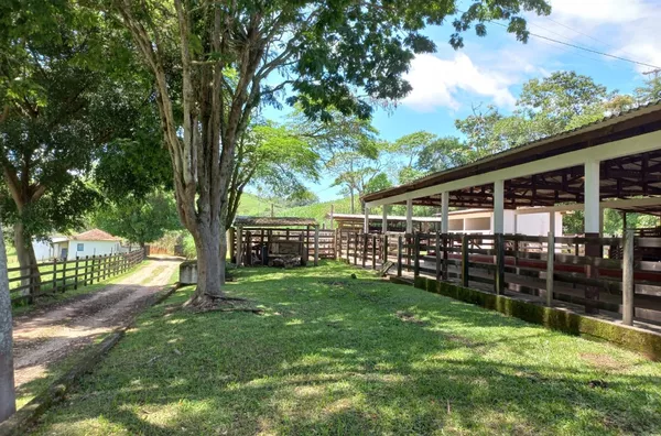 Fazenda 80 alqueires- Redenção da Serra-SP - Foto 3