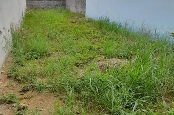 Terreno 125m² - Novo Horizonte, Taubaté/SP - Foto 1