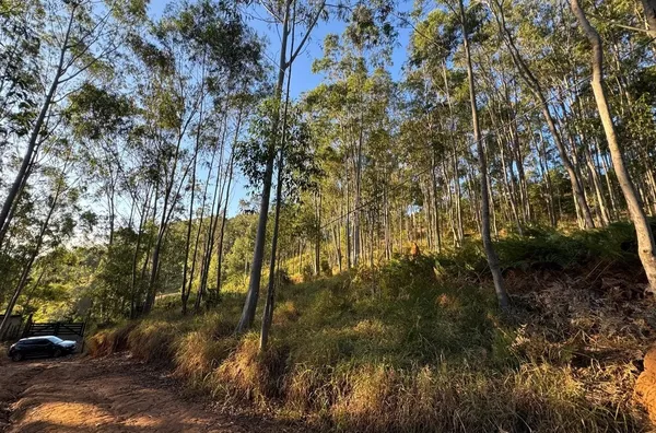Terreno de 1.000m²  - Barreiro em Taubaté/SP - Foto 1
