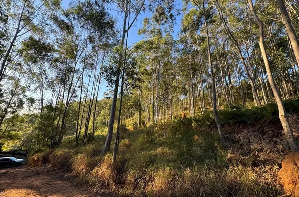 Terreno de 1.000m²  - Barreiro em Taubaté/SP - Foto 4