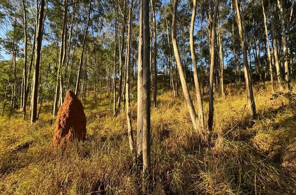 Terreno de 1.000m²  - Barreiro em Taubaté/SP - Foto 2