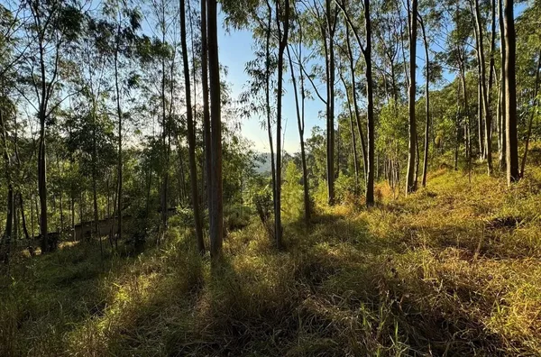 Terreno de 1.000m²  - Barreiro em Taubaté/SP - Foto 3