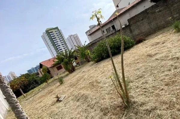 Terreno de 375m² - Foto 2