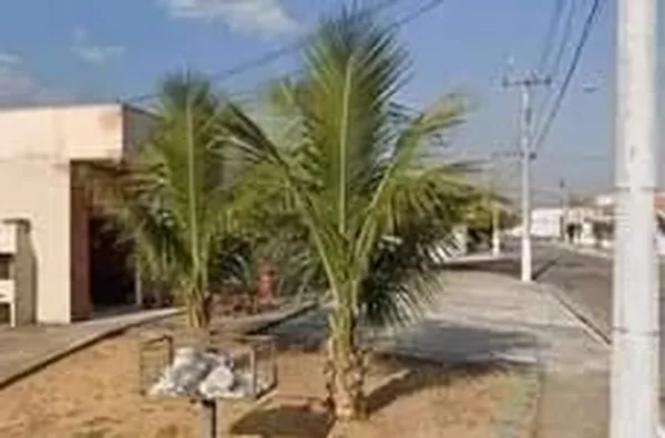 Ponto Comercial - Parque Urupês, Taubaté/SP - Foto 2