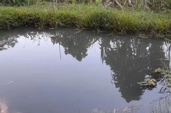 Chácara com 2 dormitórios - Chácara Silvestre, Taubaté/SP - Foto 4
