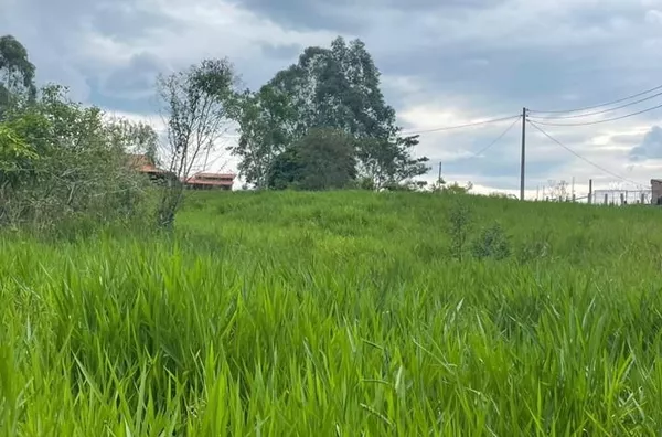 Terreno de 2.000m² - Borda da Mata - Caçapava/SP - Foto 2
