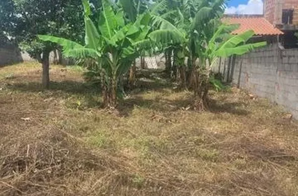 Terreno - Jardim Continental II, Taubaté/SP - Foto 1