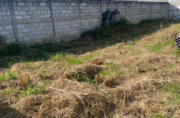 Terreno de 250m² de área total - Loteamento Jardim Alberto Ronconi em Tremembé/SP - Foto 3