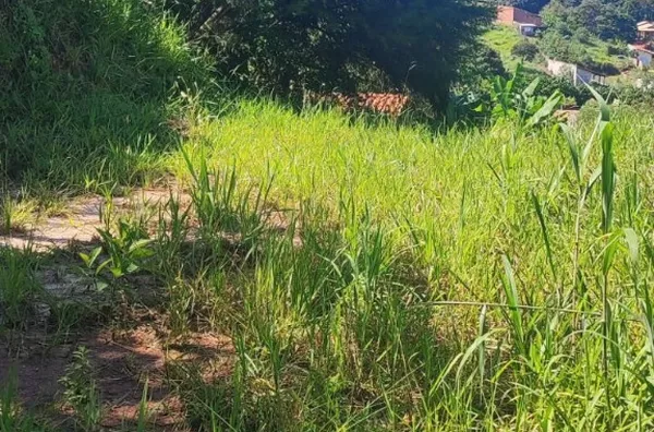 Terreno de 1.137,50m² - Foto 3