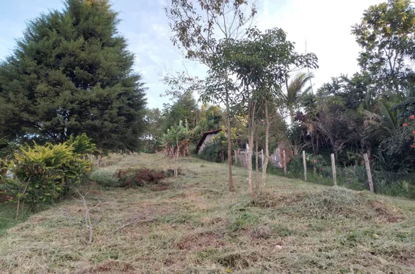 Terreno de 1.137,50m² - Foto 4