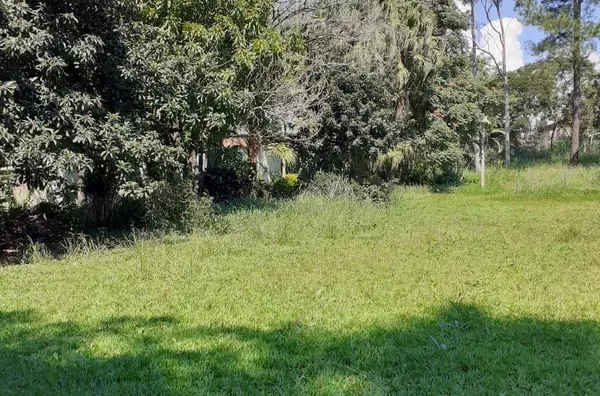 Terreno de 4.000m² - Foto 5