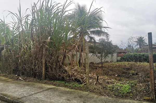 Terreno de 315m² à venda - Horto - Ubatuba/SP - Foto 1