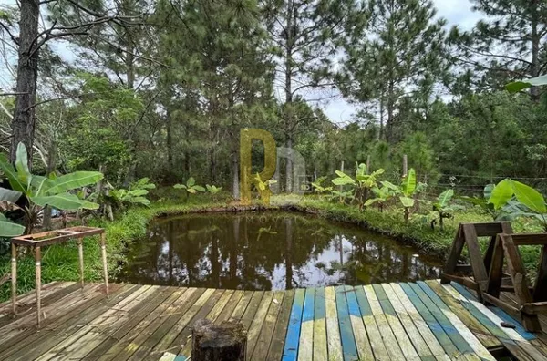 Sítio a Venda no bairro Barbacena - Laguna, SC
