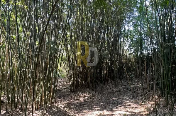 Terreno a Venda no bairro Barbacena - Laguna, SC