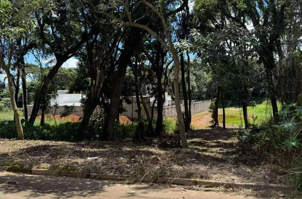 Terreno para venda,  Santa Cruz, Guarapuava