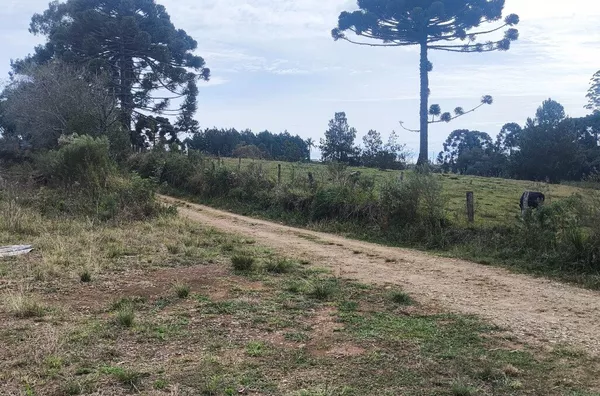 Terreno para venda,  Morro Alto, Guarapuava