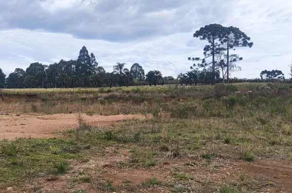 Terreno para venda,  Morro Alto, Guarapuava