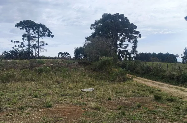 Terreno para venda,  Morro Alto, Guarapuava