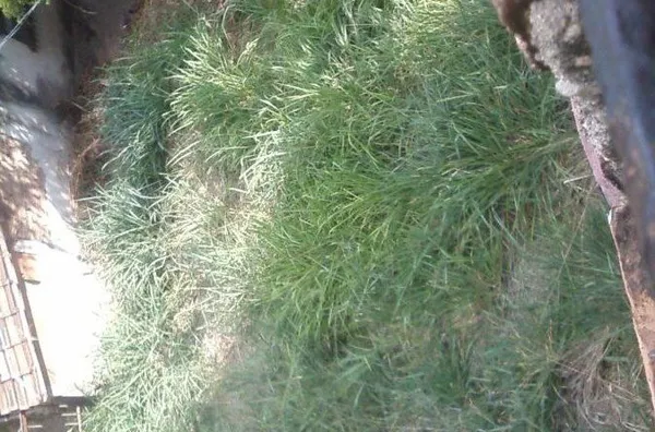 Terreno para venda Dom Bosco Belo Horizonte