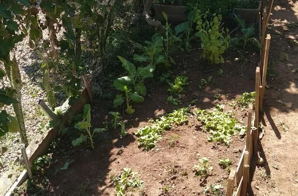 Terreno para venda Eymard Belo Horizonte