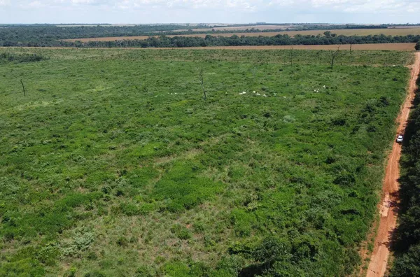 Venda de uma Fazenda situada em Nova Mutum-MT. Com