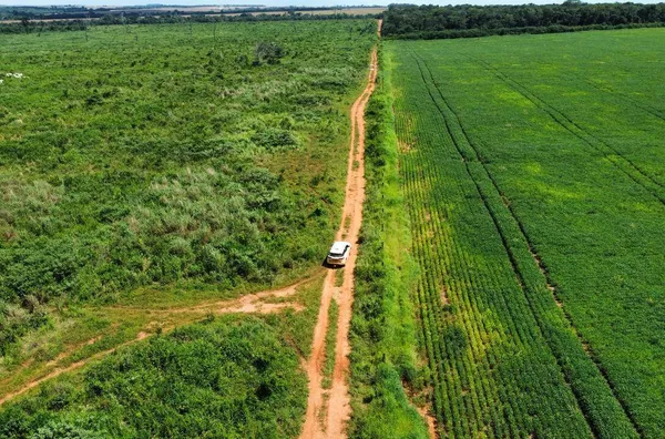 Venda de uma Fazenda situada em Nova Mutum-MT. Com