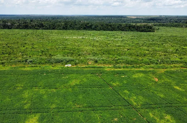 Venda de uma Fazenda situada em Nova Mutum-MT. Com