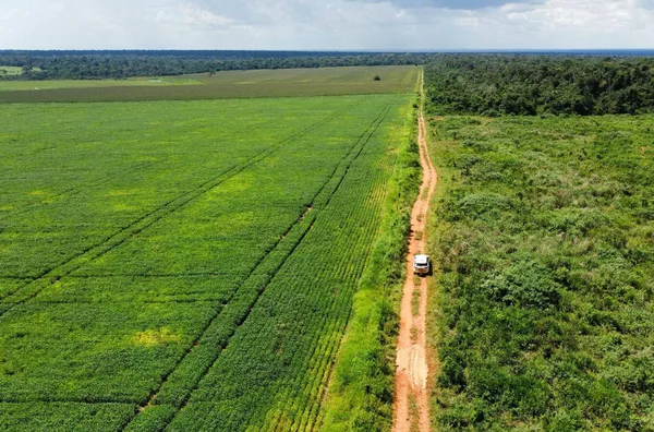 Venda de uma Fazenda situada em Nova Mutum-MT. Com