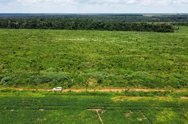 Venda de uma Fazenda situada em Nova Mutum-MT. Com