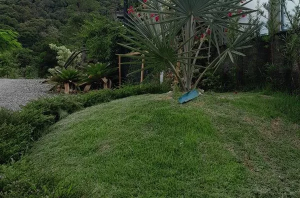 Array