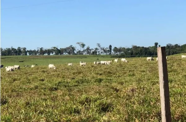 VENDA  DE UMA AREA RURAL  CIDADE DE PORTO VELHO