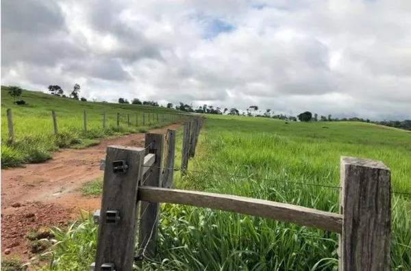 VENDA  DE UMA AREA RURAL  CIDADE DE PORTO VELHO