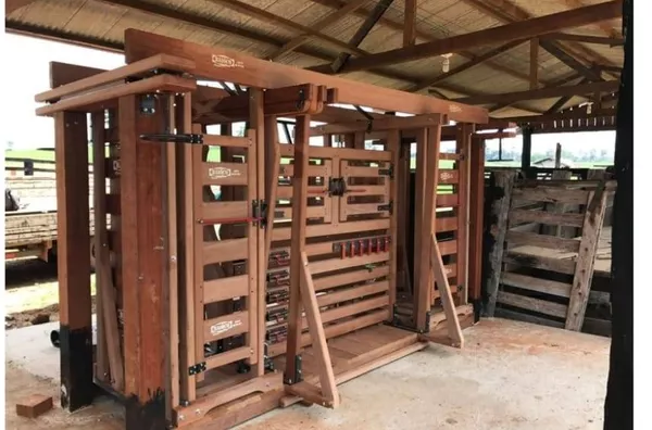 Array