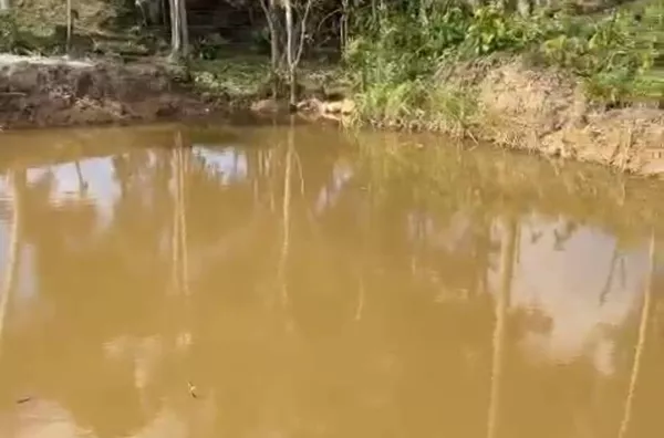 VENDE - SE SITIO NO SERTÃO VALOMGO PORTO BELO SC