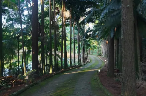 Sítio para venda, 2 quarto(s),  - Selecione - Bairro, Cocal Do Sul