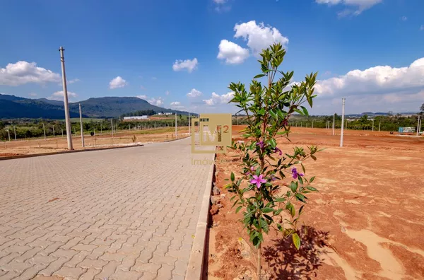 Terrenos no Bairro Centenário - CENTENÁRIO NORTE