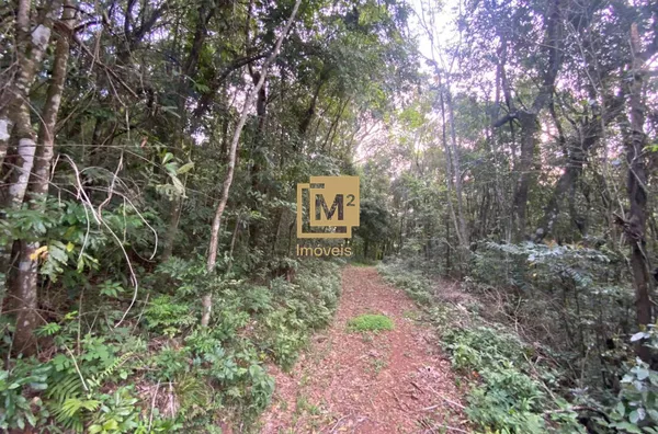 Chácara com 2 hectares de terra em Sapiranga
