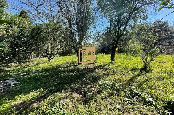 Terreno no Bairro Amaral Ribeiro