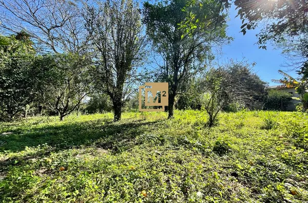Terreno no Bairro Amaral Ribeiro