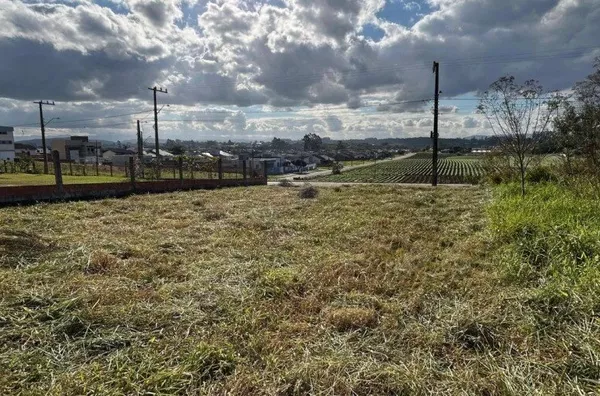 TERRENO - TEREZA CRISTINA - IÇARA