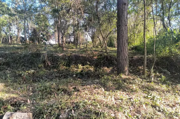 TERRENOS - SÃO SIMÃO, CRICIÚMA